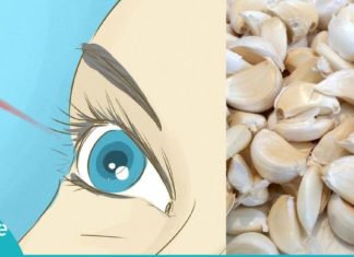 მხედველობის აღდგენა ნიორის დახმარებით. ჰარვარდის სამედიცინო სკოლის კვლევა