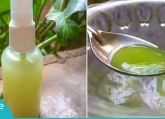 მოამზადეთ კიტრის ლოსიონი კანის გასაწმენდად და ნაოჭების საწინააღმდეგოდ