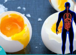 აი რა მოუვა თქვენს ორგანიზმსს, თუ დღეში 3 ცალ კვერცხს შეჭამთ…