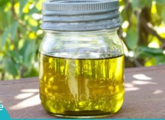 არაყი და ზეთი – ნაზავი, განუკურნებელი დაავადებების წინააღმდეგ! ყველაფერი შევჩენკოს მეთოდზე