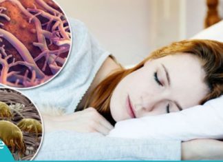 იცოდით, რომ თქვენს ლოგინში 1,5 მილიონი ბაქტერია ცხოვრობს? გაანადგურეთ ისინი ამ ხერხით