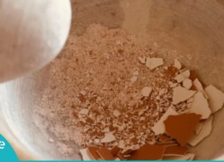 კვერცხის ნაჭუჭს სამკურნალო თვისება ჰქონია, ამის მერე მას აღარასოდეს გადააგდებთ!