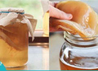 მან მოადუღა ჩაი და ნახევარი თვით შეინახა. ის, რაც გამოვიდა ყველას ორგანიზმს სჭირდება