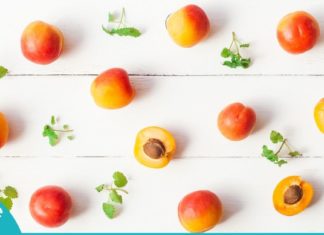 გარგარი- საუკეთესო საშუალება მრავალი დაავადების წინააღმდეგ. მნიშვნელოვანი ინფორმაციაა