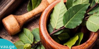 დაფნის ფოთლის საოცარი თვისებები. გაიგეთ, თუ რა დაავადებების განკურნება შეუძლია მას