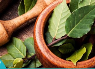 დაფნის ფოთლის საოცარი თვისებები. გაიგეთ, თუ რა დაავადებების განკურნება შეუძლია მას