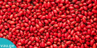 შინდის სასარგებლო თვისებები. ის, რაც ყველას ორგანიზმს სჭირდება