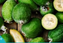 ფეიხოა- ვიტამინების “პატარა ბომბი”. ის, რაც იოდის დეფიციტს შეგივსებთ