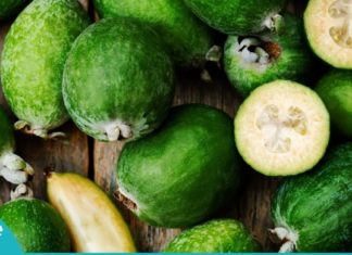 ფეიხოა- ვიტამინების “პატარა ბომბი”. ის, რაც იოდის დეფიციტს შეგივსებთ