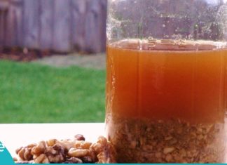 ხალხური მედიცინის ეფექტური რეცეპტი. ნაყენი, რომელიც ათამდე დაავადებას კურნავს