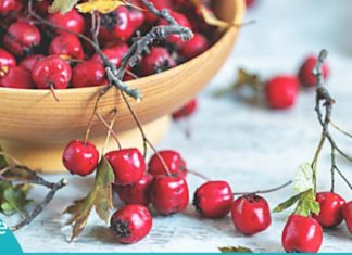 კუნელის სასარგებლო თვისებები. ის, რაც ყველამ უნდა იცოდეს.