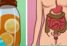 მეთოდი, რომელიც ორგანიზმს ცხიმებისა და ტოქსინებისგან წმენდს. საუკეთესო საშუალებაა