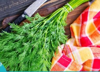 რა სამკურნალო თვისებები აქვს კამას? გაიგეთ ყველაფერი მის შესახებ