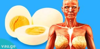 აი, რატომ უნდა მიირთვათ კვერცხი დღეში 3-ჯერ. საინტერესოა…