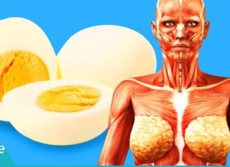 აი, რატომ უნდა მიირთვათ კვერცხი დღეში 3-ჯერ. საინტერესოა…