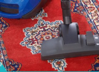 როგორ მოვუაროთ ნოხს მარტივად სახლის პირობებში