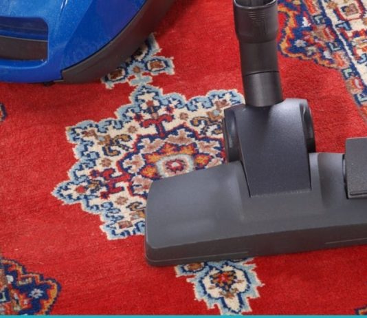 როგორ მოვუაროთ ნოხს მარტივად სახლის პირობებში