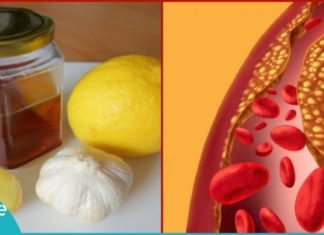 ნარევი, რომელიც სისხლში ქოლესტერინის და ტრიგლიცერიდების დონეს ამცირებს