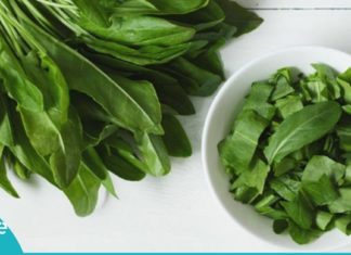 მჟაუნას ამ სასარგებლო თვისებება აქამდე არ გსმენიათ. გაიგეთ მეტი სამკურნალო მცენარის შესახებ