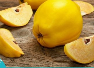 კომშის სამკურნალო თვისებები. გაოცებული ვარ, იმდენი რამ შეუძლია ამ ხილს