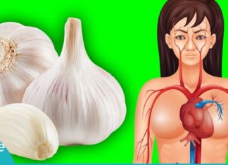 აი, რატომ უნდა მიირთვათ ნიორი უზმოზე. მისი უნიკალური თვისებების შესახებ ყველამ უნდა იცოდეთ