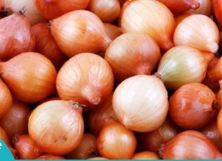 ხახვის თვისებები, რომლებიც აქამდე არ იცოდით. საჭირო და სასარგებლო ინფორმაციაა