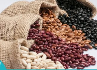 თუ ლობიოს სამკურნალო თვისებებზე აქამდე არ გსმენიათ, მაშინ ეს სტატია თქვენთვისაა. მე გაოცებული დავრჩი