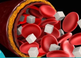 ამ პროდუქტის წყალობით ჩემს სისხლში ნაკლები ქოლესტერინი და შაქარია! ის, რაც უნდა იცოდეთ