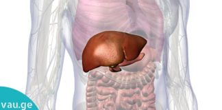 14 სიმპტომი, რაც ღვიძლის დაავადებაზე მიგითითებთ! ეს არ უნდა დააიგნოროთ!