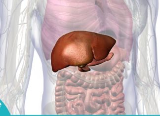 14 სიმპტომი, რაც ღვიძლის დაავადებაზე მიგითითებთ! ეს არ უნდა დააიგნოროთ!