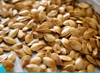 გოგრის თესლი თქვენი ჯანმრთელობისთვის. გაიგეთ მეტი მისი საოცარი თვისებების შესახებ