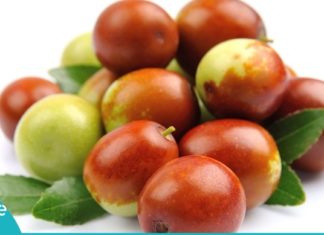 უნაბის საოცარი თვისებები, რომლის შესახებ აქამდე არ გსმენიათ. ნამდვილი მკურნალია