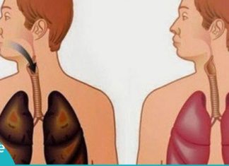 როგორ გავიწმინდოთ სიგარეტისგან დაბინძურებული ფილტვები 72 საათის განმავლობაში…