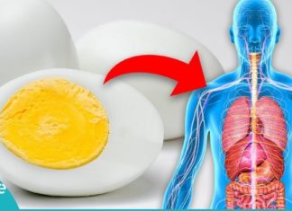 მიირთვით ყოველდღე 1 კვერცხი და ნახეთ რა დაემართება თქვენს ორგანიზმს. სასარგებლოა