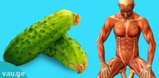 მიირთვით 1 კიტრი ყოველდღე და ნახეთ რა დაემართება თქვენს ორგანიზმს. საჭირო და სასარგებლო ინფორმაციაა