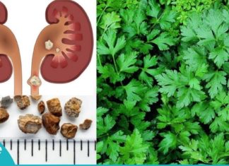 თირკმელების გაწმენდის ეფექტური საშუალება. მოამზადეთ სახლში მარტივად