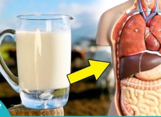 თუ კეფირს ყოველდღე მიირთმევთ, თქვენი ორგანიზმი აი ამ სარგებელს მიიღებს…