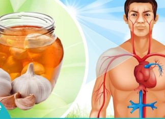 თაფლი, ნიორი და ლიმონი- ნაზავი, რომელიც თქვენს ორგანიზმს სჭირდება. გაიგეთ მეტი…