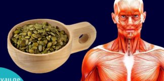 როგორ მივირთვათ გოგრის თესლი, რომ შევამციროთ პარაზიტები, ქოლესტერინი, დიაბეტი და სხვადასხვა დაავადებები.