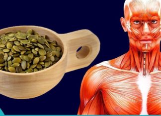 როგორ მივირთვათ გოგრის თესლი, რომ შევამციროთ პარაზიტები, ქოლესტერინი, დიაბეტი და სხვადასხვა დაავადებები.