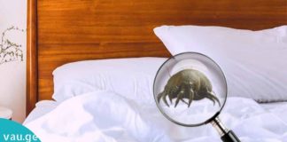 საწოლში არსებული მტვრის ტკიპა სხვადასხვა დაავადებების მიზეზია. დაიხმარეთ ეს ხსნარი მათ გასანადგურებლად!