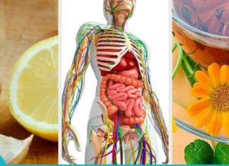 6 ბუნებრივი საშუალება ლიმფური სისტემის დეტოქსიკაციისთვის.