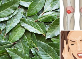 იცოდით რისი მიღება შეგიძლიათ თუ ზეითუნის ზეთსა და დაფნის ფოთოლს შეურევთ? გაოცდებით!