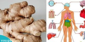 როგორ მოვამზადოთ კოჭა შაკიკის, გულძმარვის, სახსრების ტკივილის დროს?!