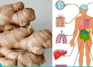 როგორ მოვამზადოთ კოჭა შაკიკის, გულძმარვის, სახსრების ტკივილის დროს?!