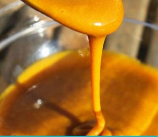 კურკუმა თაფლით: ფასდაუდებელი საშუალება. იხილეთ უპირატესობები!