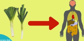 პრასი-ბუნებრივი ანტიბიოტიკი. გაიგეთ ყველაფერი მისი სასარგებლო თვისებების შესახებ