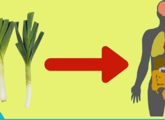 პრასი-ბუნებრივი ანტიბიოტიკი. გაიგეთ ყველაფერი მისი სასარგებლო თვისებების შესახებ