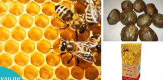 დაავადებების საუკეთესო სამკურნალო საშუალებაა დინდგელი (პროპოლისი)!