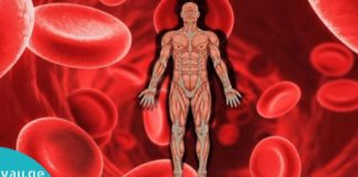 7 პროდუქტი, რომელიც დაგეხმარებათ დაბალი ჰემოგლობინის მომატებაში